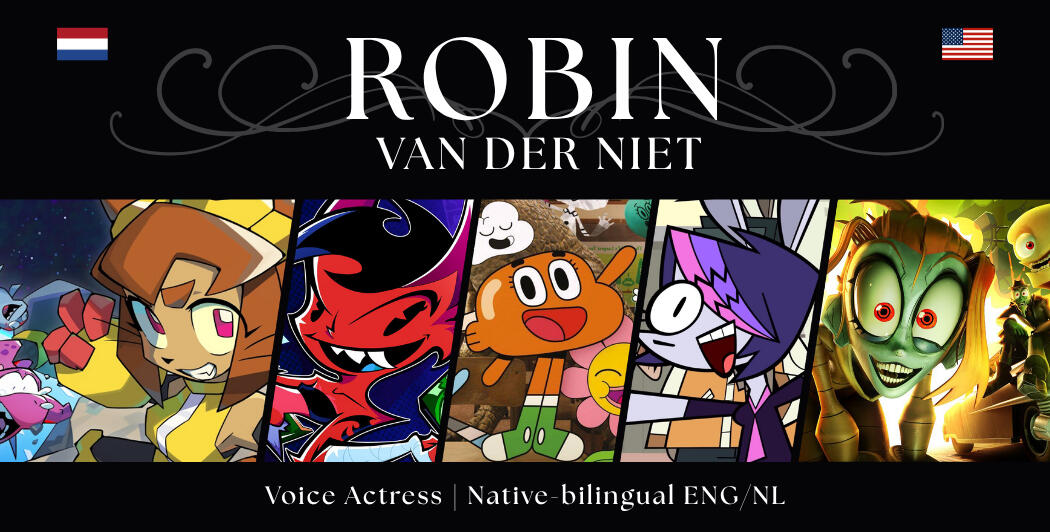Robin van der Niet